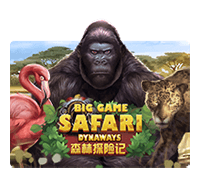 Big Game Safari